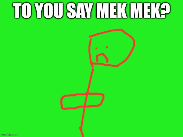 to you ok to say mek mek? | TO YOU SAY MEK MEK? | image tagged in memes | made w/ Imgflip meme maker