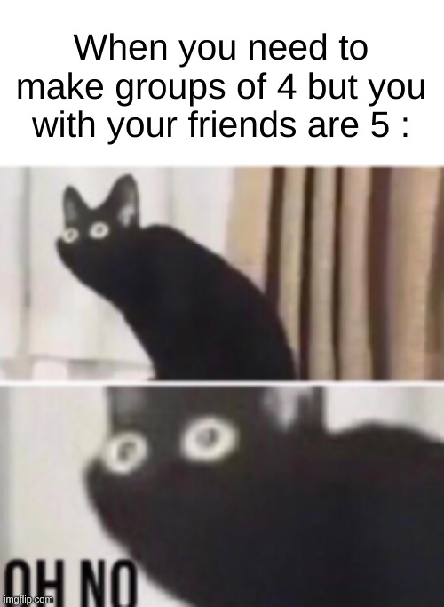 Guess who's gonna be kicked... | When you need to make groups of 4 but you with your friends are 5 : | image tagged in oh no cat,memes,funny,relatable,front page plz,oh no | made w/ Imgflip meme maker