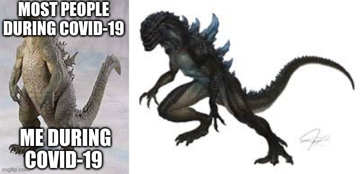 Godzilla | MOST PEOPLE DURING COVID-19; ME DURING COVID-19 | image tagged in memes,godzilla | made w/ Imgflip meme maker