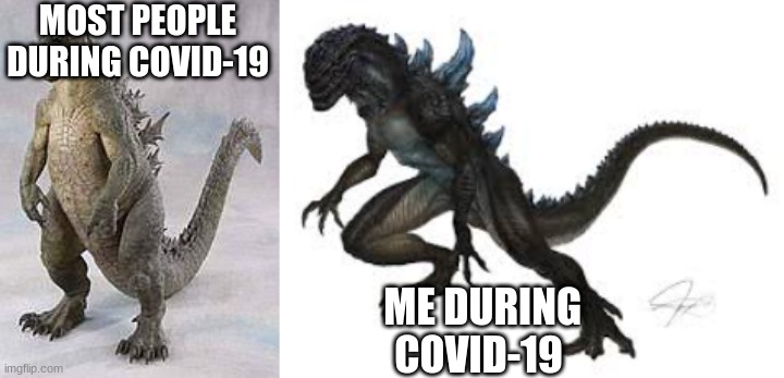 Godzilla | MOST PEOPLE DURING COVID-19; ME DURING COVID-19 | image tagged in memes,godzilla | made w/ Imgflip meme maker