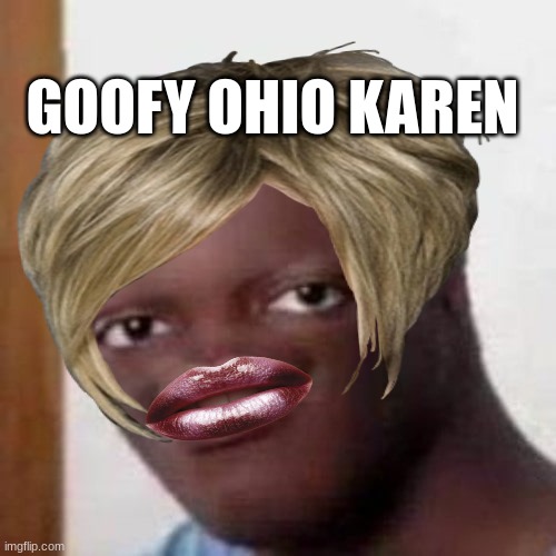 ksi goofy karen | KSI KAREN; GOOFY OHIO KAREN | image tagged in memes | made w/ Imgflip meme maker