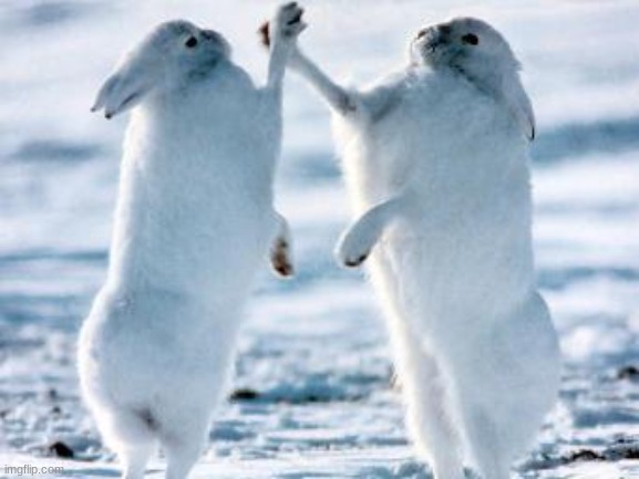 Best friends | image tagged in best friends | made w/ Imgflip meme maker