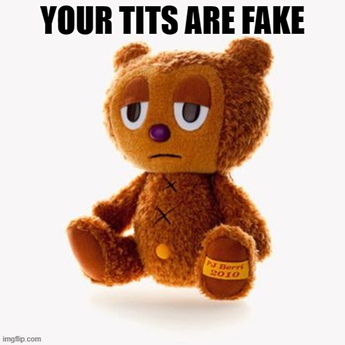 Pj plush | YOUR TITS ARE FAKE | image tagged in pj plush | made w/ Imgflip meme maker