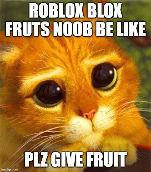 Beggin Puss | ROBLOX BLOX FRUTS NOOB BE LIKE; PLZ GIVE FRUIT | image tagged in beggin puss | made w/ Imgflip meme maker