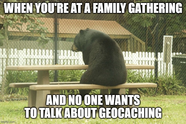 Lonely geocaching bear | WHEN YOU'RE AT A FAMILY GATHERING; AND NO ONE WANTS TO TALK ABOUT GEOCACHING | image tagged in funny | made w/ Imgflip meme maker