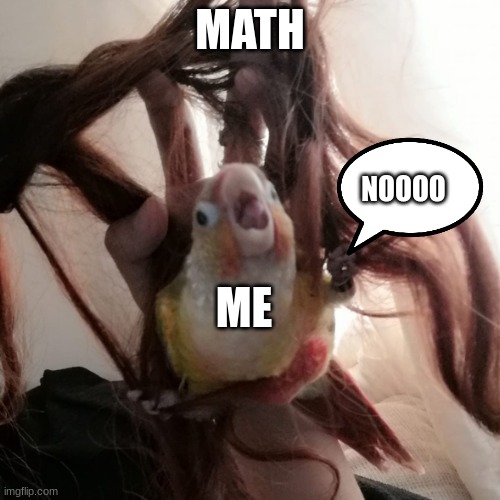 Reee Birb | MATH; NOOOO; ME | image tagged in reee birb | made w/ Imgflip meme maker