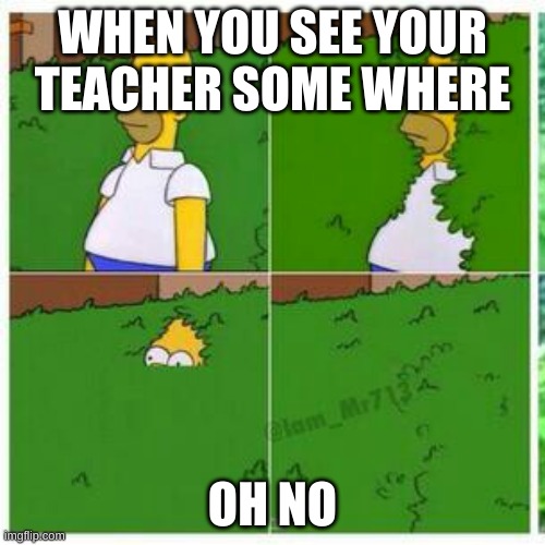 Homer hides | WHEN YOU SEE YOUR TEACHER SOME WHERE; OH NO | image tagged in homer hides | made w/ Imgflip meme maker