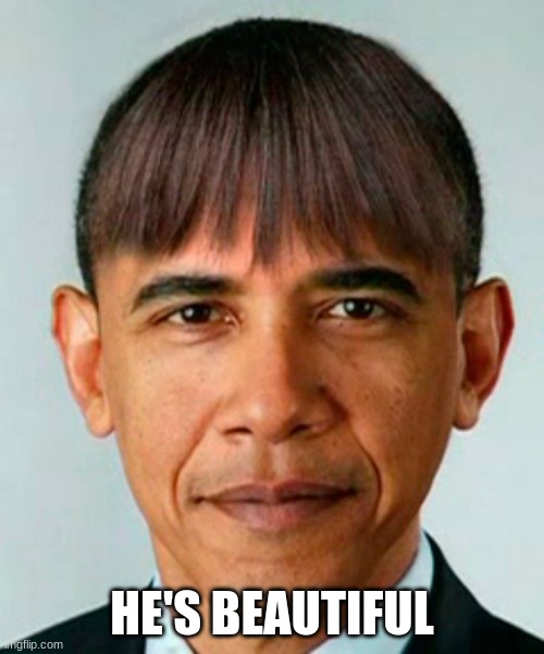 Thepresidentialbowlcut | HE'S BEAUTIFUL | image tagged in lol,obama,haircut,memes,iceu,bruno69 | made w/ Imgflip meme maker