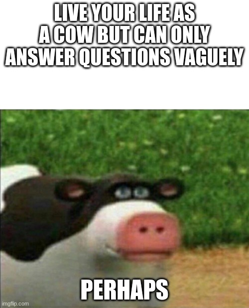 yes. | LIVE YOUR LIFE AS A COW BUT CAN ONLY ANSWER QUESTIONS VAGUELY; PERHAPS | image tagged in perhaps cow,meme | made w/ Imgflip meme maker