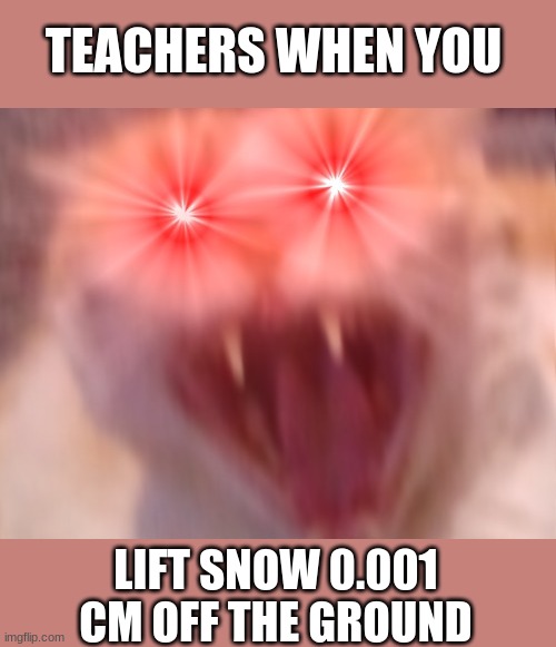 teachers when you lift snow 0.001 cm off the ground | TEACHERS WHEN YOU; LIFT SNOW 0.001 CM OFF THE GROUND | image tagged in teachers,school,winter,recess | made w/ Imgflip meme maker