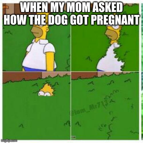 Homer hides | WHEN MY MOM ASKED HOW THE DOG GOT PREGNANT | image tagged in homer hides | made w/ Imgflip meme maker