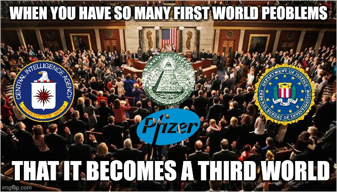 Congress | WHEN YOU HAVE SO MANY FIRST WORLD PEOBLEMS; THAT IT BECOMES A THIRD WORLD | image tagged in congress | made w/ Imgflip meme maker