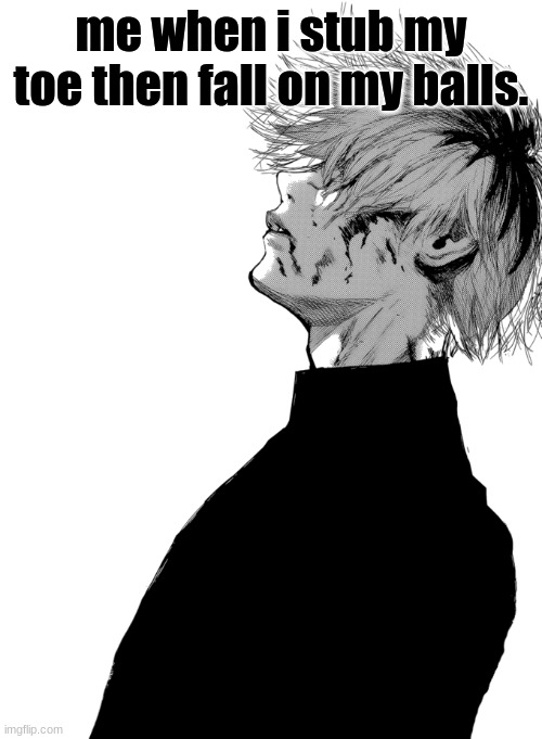 *Intense Screaming* | me when i stub my toe then fall on my balls. | image tagged in kaneki profile picture,memes,balls | made w/ Imgflip meme maker