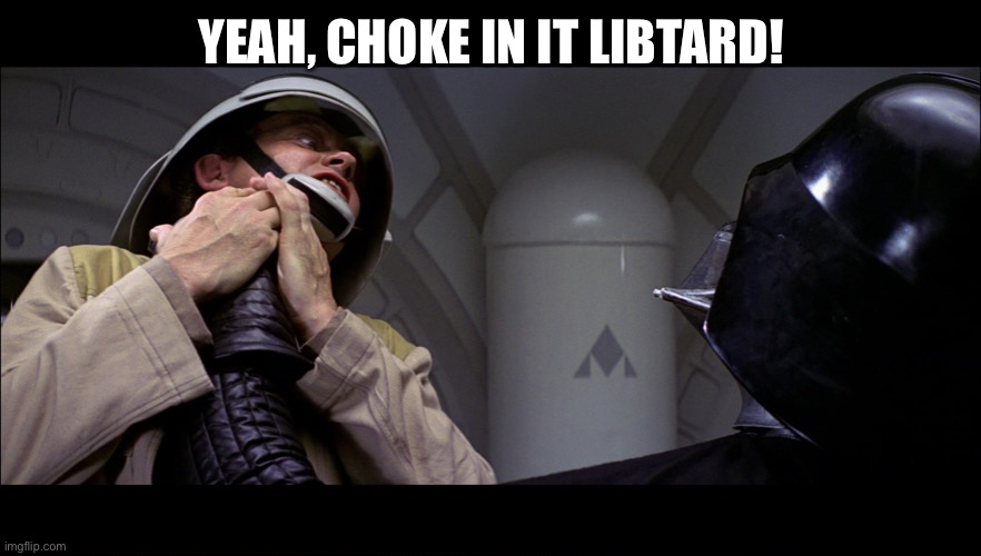Star wars vader choke | YEAH, CHOKE IN IT LIBTARD! | image tagged in star wars vader choke | made w/ Imgflip meme maker