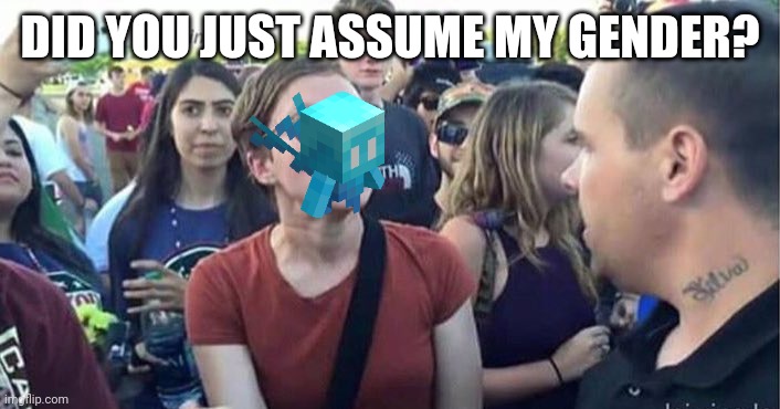 Did you just assume my gender | DID YOU JUST ASSUME MY GENDER? | image tagged in did you just assume my gender | made w/ Imgflip meme maker