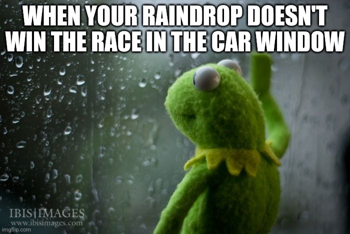 kermit window | WHEN YOUR RAINDROP DOESN'T WIN THE RACE IN THE CAR WINDOW | image tagged in kermit window | made w/ Imgflip meme maker