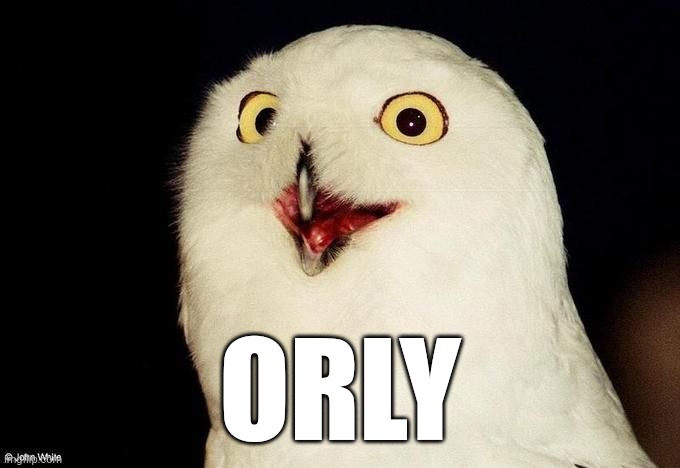 Orly Owl | ORLY | image tagged in orly owl | made w/ Imgflip meme maker