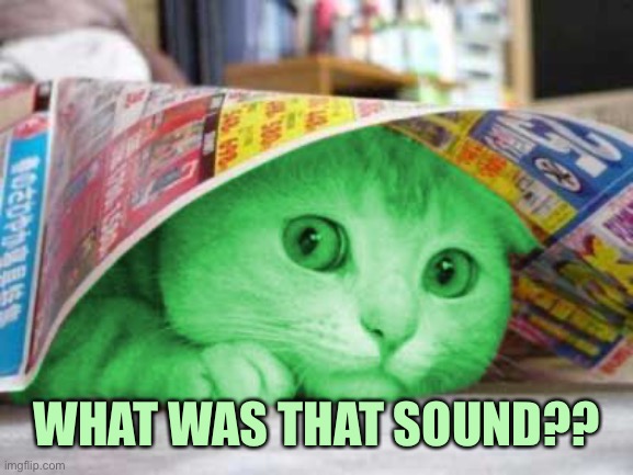 RayCat Scared | WHAT WAS THAT SOUND?? | image tagged in raycat scared | made w/ Imgflip meme maker