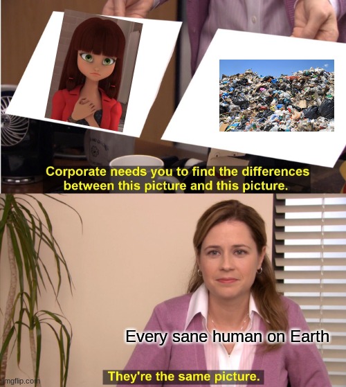 Only the sane people think this | Every sane human on Earth | image tagged in memes,they're the same picture,miraculous ladybug | made w/ Imgflip meme maker