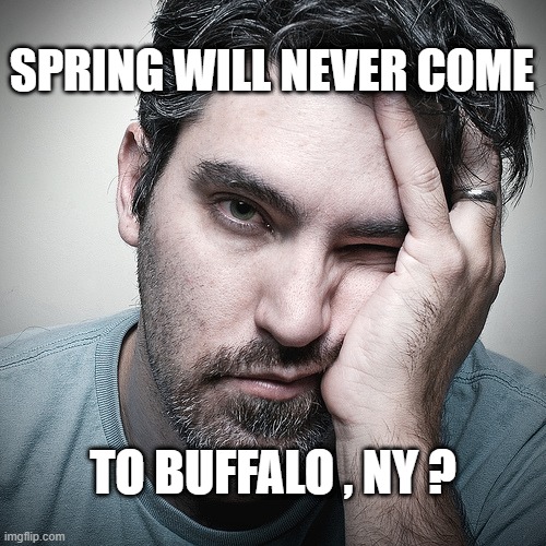 SPRING WILL NEVER COME TO BUFFALO | SPRING WILL NEVER COME; TO BUFFALO , NY ? | image tagged in winter | made w/ Imgflip meme maker