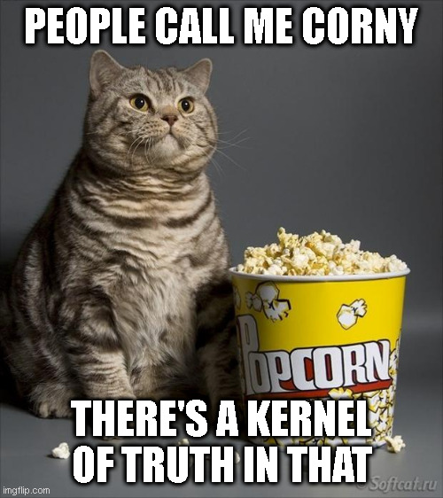 Corny | PEOPLE CALL ME CORNY; THERE'S A KERNEL OF TRUTH IN THAT | image tagged in cat eating popcorn | made w/ Imgflip meme maker