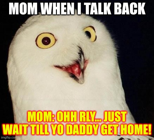 mom be like | MOM WHEN I TALK BACK; MOM: OHH RLY... JUST WAIT TILL YO DADDY GET HOME! | image tagged in o rly | made w/ Imgflip meme maker