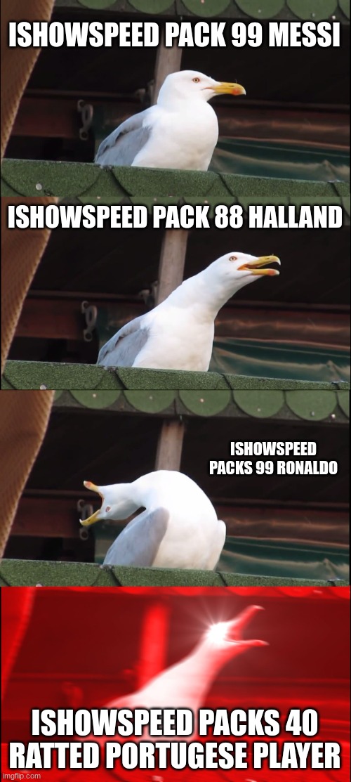 Ishowspeed | ISHOWSPEED PACK 99 MESSI; ISHOWSPEED PACK 88 HALLAND; ISHOWSPEED PACKS 99 RONALDO; ISHOWSPEED PACKS 40 RATTED PORTUGESE PLAYER | image tagged in memes,inhaling seagull | made w/ Imgflip meme maker