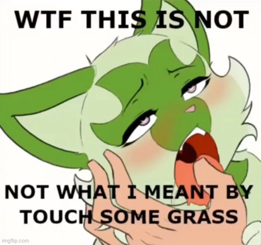 touch grass | image tagged in bruh,lol,why are you reading this | made w/ Imgflip meme maker