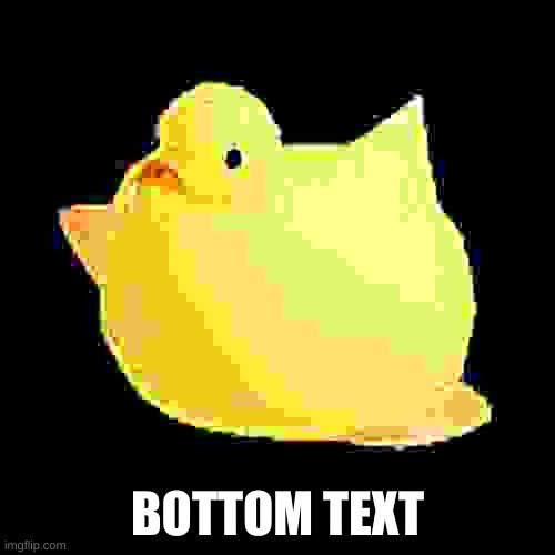 do whatever with this image | BOTTOM TEXT | image tagged in fat ducky | made w/ Imgflip meme maker