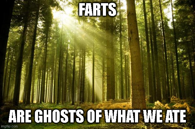 Farts | FARTS; ARE GHOSTS OF WHAT WE ATE | image tagged in sunlit forest | made w/ Imgflip meme maker