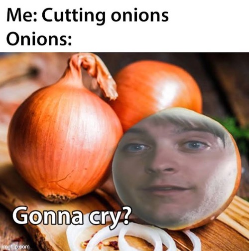 image tagged in repost,memes,funny,gonna cry,onions,onion | made w/ Imgflip meme maker