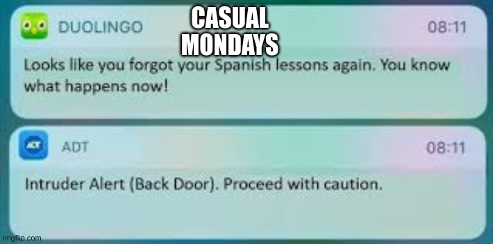 Casual Mondays (Duolingo) | CASUAL MONDAYS | image tagged in duolingo text message | made w/ Imgflip meme maker