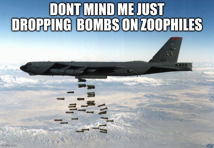 yes. |  DONT MIND ME JUST DROPPING  BOMBS ON ZOOPHILES | image tagged in bomber | made w/ Imgflip meme maker