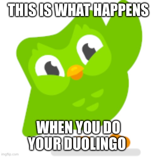 Duolingo memes | THIS IS WHAT HAPPENS; WHEN YOU DO YOUR DUOLINGO | image tagged in duolingo memes | made w/ Imgflip meme maker