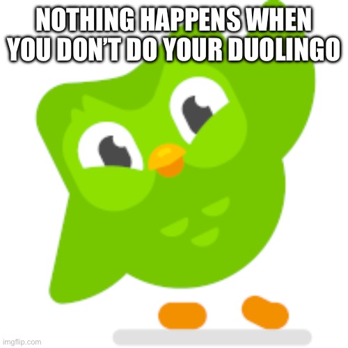 Duolingo memes | NOTHING HAPPENS WHEN YOU DON’T DO YOUR DUOLINGO | image tagged in duolingo memes | made w/ Imgflip meme maker