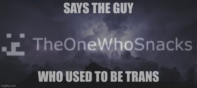 SAYS THE GUY; WHO USED TO BE TRANS | made w/ Imgflip meme maker