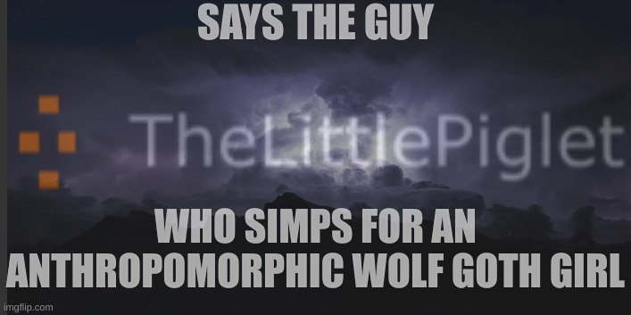 SAYS THE GUY; WHO SIMPS FOR AN ANTHROPOMORPHIC WOLF GOTH GIRL | made w/ Imgflip meme maker