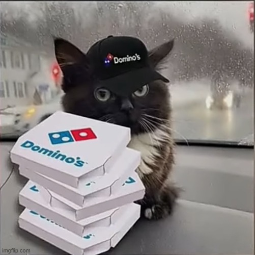 Dominos Cat | image tagged in dominos cat | made w/ Imgflip meme maker