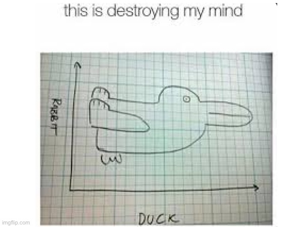 WHICH ONE??? | image tagged in memes,rabbit,duck,graphs | made w/ Imgflip meme maker