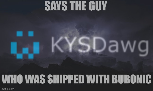 remember Bubodawg | SAYS THE GUY; WHO WAS SHIPPED WITH BUBONIC | made w/ Imgflip meme maker