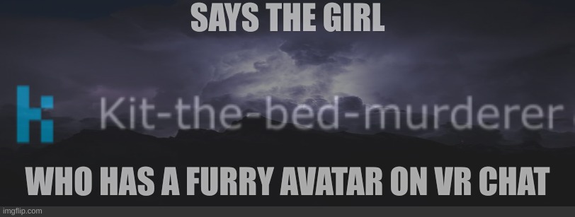 SAYS THE GIRL; WHO HAS A FURRY AVATAR ON VR CHAT | made w/ Imgflip meme maker