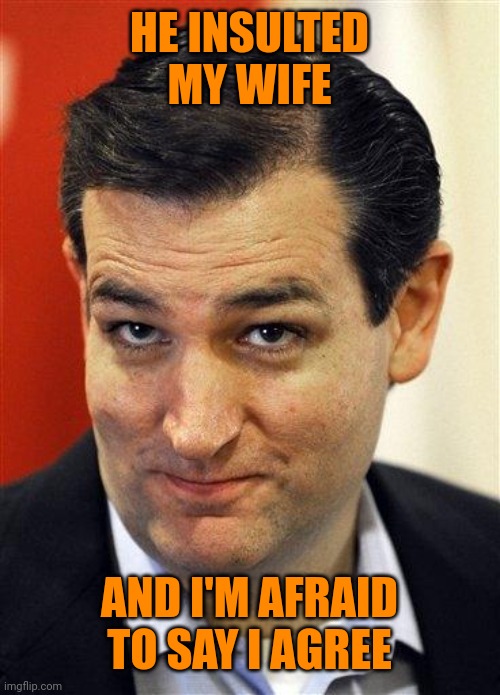Bashful Ted Cruz | HE INSULTED MY WIFE AND I'M AFRAID TO SAY I AGREE | image tagged in bashful ted cruz | made w/ Imgflip meme maker