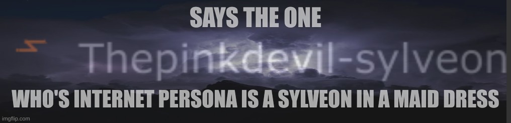 SAYS THE ONE; WHO'S INTERNET PERSONA IS A SYLVEON IN A MAID DRESS | made w/ Imgflip meme maker