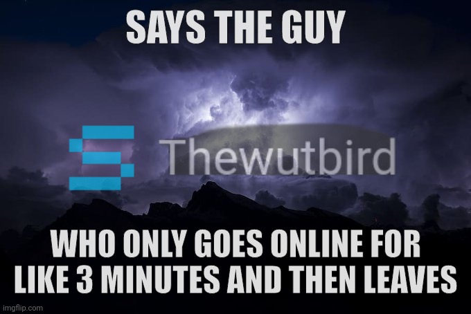 Idk | SAYS THE GUY; WHO ONLY GOES ONLINE FOR LIKE 3 MINUTES AND THEN LEAVES | image tagged in low tier god background | made w/ Imgflip meme maker