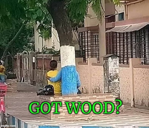 got wood | GOT WOOD? | image tagged in memes,wood | made w/ Imgflip meme maker