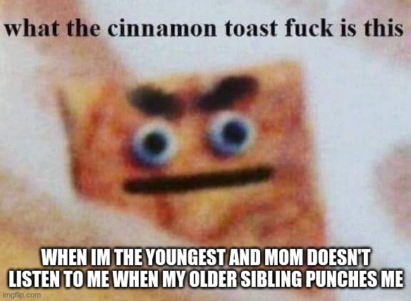 really mom | WHEN IM THE YOUNGEST AND MOM DOESN'T LISTEN TO ME WHEN MY OLDER SIBLING PUNCHES ME | image tagged in what the cinnamon toast f is this,srsly mom | made w/ Imgflip meme maker
