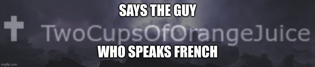 I made one | SAYS THE GUY; WHO SPEAKS FRENCH | made w/ Imgflip meme maker