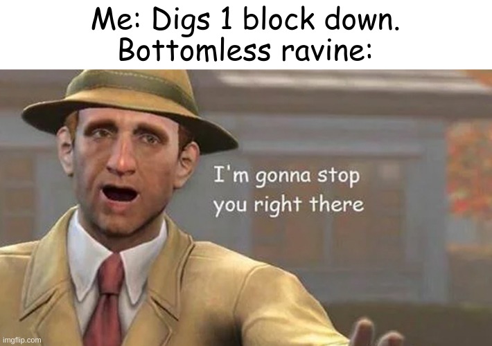 Minecraft meme | Me: Digs 1 block down.
Bottomless ravine: | image tagged in i'm gonna stop you right there | made w/ Imgflip meme maker