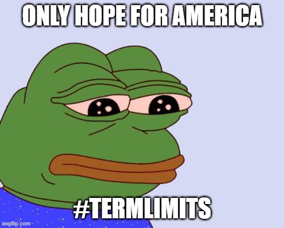 Pepe the Frog | ONLY HOPE FOR AMERICA; #TERMLIMITS | image tagged in pepe the frog | made w/ Imgflip meme maker