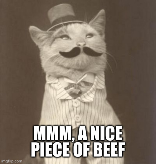 Moustache cat posh | MMM, A NICE PIECE OF BEEF | image tagged in moustache cat posh | made w/ Imgflip meme maker